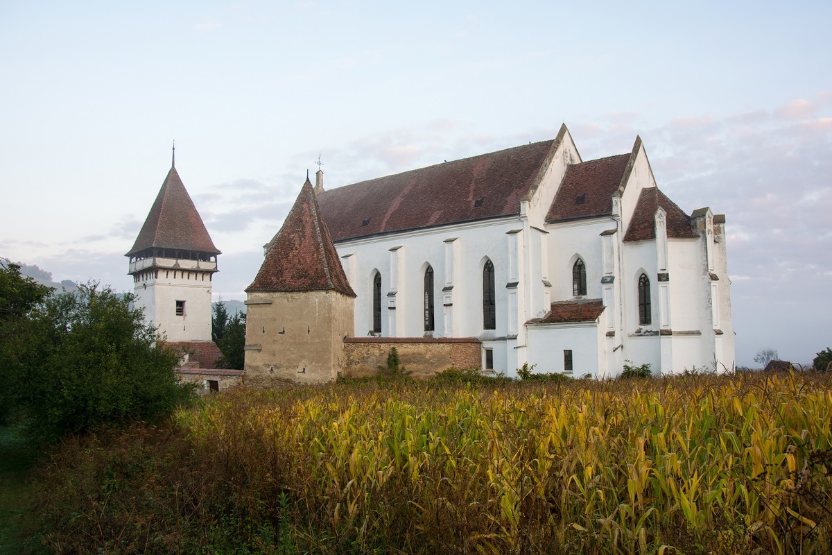 Fortified Church Senereuș / Zendersch